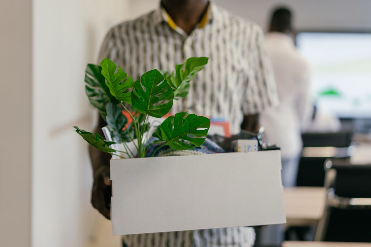 Employee carrying an office box with a plant during an office relocation